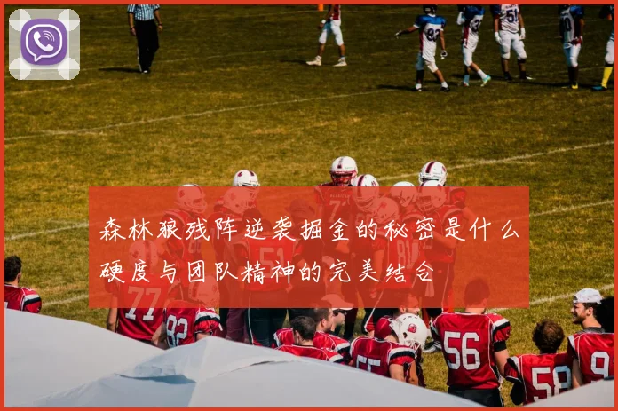 森林狼残阵逆袭掘金的秘密是什么硬度与团队精神的完美结合