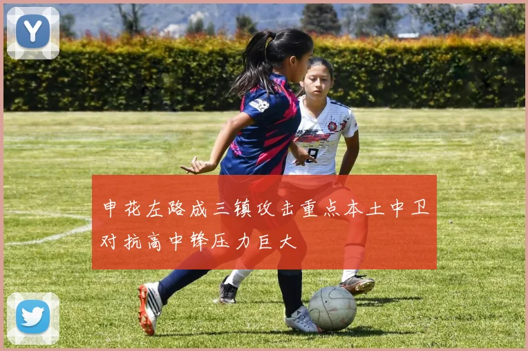 申花左路成三镇攻击重点本土中卫对抗高中锋压力巨大