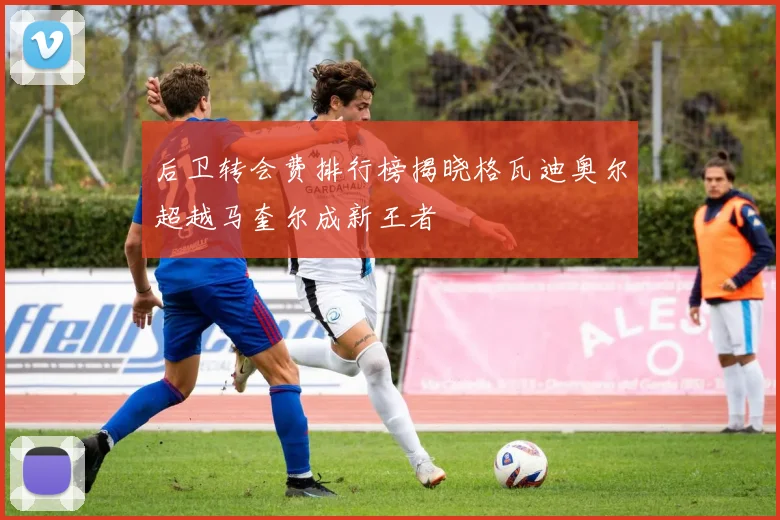 后卫转会费排行榜揭晓格瓦迪奥尔超越马奎尔成新王者