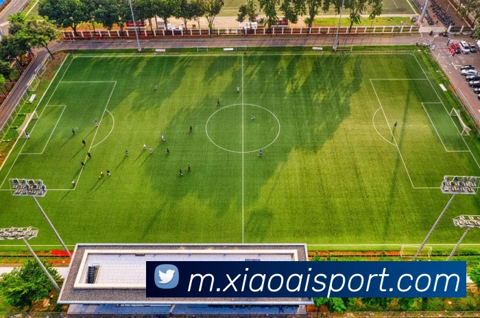 App Interface Preview